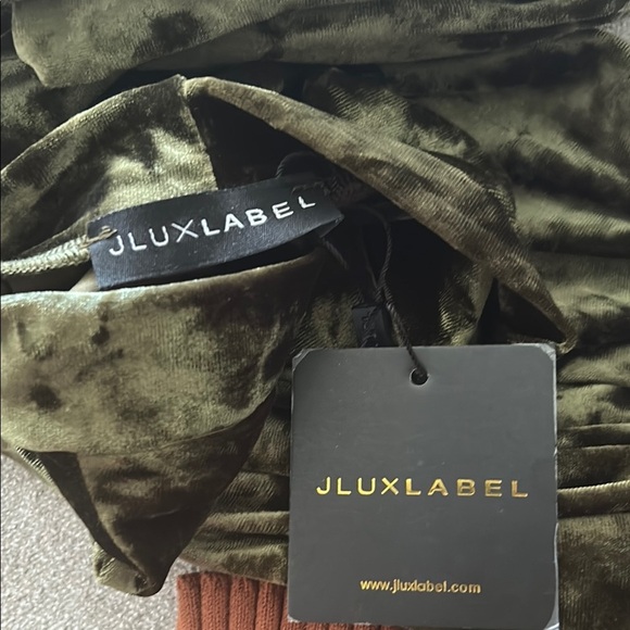 JLUXLABEL Olive Velvet Dress - Picture 4 of 4